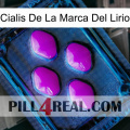 Lily Brand Cialis 04